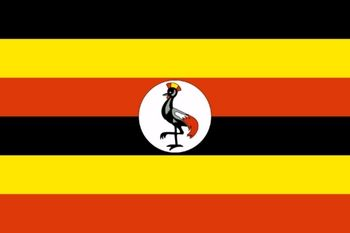 乌干达PVOC